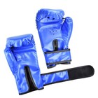 Kids Boxing Gloves  Sparring  Punching Bag  Youth Training - Kickboxing   Muay T