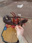 Singing Bass Lobster Fish Like Billy Bass Fully Works