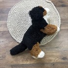 Animal Alley Bernese Mountain Dog Plush 12    Stuffed Animal 2007 Toys R Us
