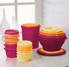 Tupperware Heritage Collection 32 Pcs Food Storage Container Set Orange