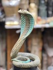 Authentic Pharaonic Statue Rare Egyptian Antiquities Of Egyptian God Apep Bc