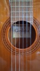 Cordoba C5 Classical Guitar Solid Cedar Top Nylon String W  Cordoba Case Bundle