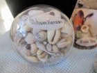 3 Vtg Sailor Shell Souvenirs  Atchison ks  Benton Iowa  Kiowa Ks Paper Weights