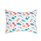Toddler Pillow With Adorable Pillowcase     Soft  Natural   Hypoallergenic     13x18