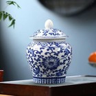 Chinese Blue And White  Glazed Temple Jar Vase With Lid Delicate
