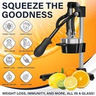 Eurolux Cast Iron Citrus Juicer   Extra-large Commercial Grade Manual Hand Press