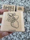 Stampin Up  1995    you   re The Berry Best    Collection Lot Of 4 Rubber Stamps Read 