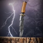 Dagger Bowie Knife Handcrafted Damascus Blade  Elegant Wooden Handle Collectible