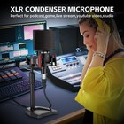 Proar Xlr Podcast Microphone Professional Cardioid Condenser Microphone For P   