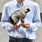 Hansa Ardwolf Cub 28cm Real Animal Plush Doll Bh7840