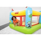 Fisher-price Bouncetastic Bouncer