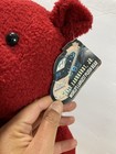 Dale Earnhardt Large Red Bear Jr Plush 23 Karat Gold n Bears Racing Race Car  8