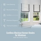 Everyday Celebration Roman Shades - 100  23 w X 64 h  Black  blackout  