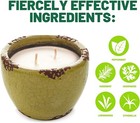 Murphy s Naturals Ceramic Garden Green Candle 30 Hour Mosquito Repellent
