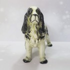 Vtg Springer Spaniel Dog Wales Japan Porcelain Figurine Black   White 8 25 x6 