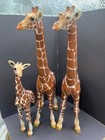 Schleich  Family Of 3 Giraffe Figures -4 5-7     f 