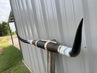 Mounted Steer Horns  4 Feet 4 1 2 Inch Longhorn Polished Mount Bull Cow