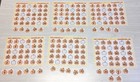 Skip Counting Pumpkins - Set Of 6 Learning Mats 35 Cards - Laminated Activity