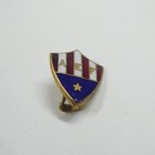 Aef Shield Pin American Expeditionary Forces Wwi Red White Blue Enamel Vintage