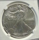 2019 American Silver Eagle Ngc Ms70 New York U s  State Series 7k Label 1 Oz