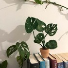 The Makerss Felting Kit - Monstera Needle Felt Kit