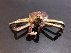 Yujin Takara Kaiyodo Retired Japan Exclusive Alaska King Crab Figure  no Paper