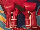 Fairtex 16oz Muay Thai Boxing Gloves Genuine Leather Xl