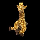 Haunted Doll 14     Max Child Spirit Vessel Affectionate Wants Loving Home