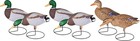 Outdoors Storm Front 2 Mallard Decoys  Full Body - 6-pack