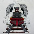 Vintage 1992 Steam Engine Train Locomotive Railroad Tunnel Graphic T-shirt Large
