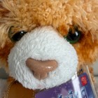 Russ Berrie Shining Stars Orange Tabby Cat Plush 2006 Nwt Secret Code