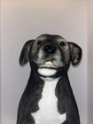 Cuddle Clones Realistic Life Like Plush Dog Terrier Lab Mix Stuffed Animal 22   