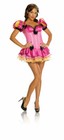 Storybook Princess Pink Tutu Fantasy Dress - Sexy Adult Women s Babydoll Costume