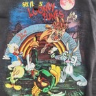 Vintage Six Flags Fright Fest Looney Tunes Hoodie - Xl - Zombie Graphics