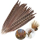 Hot Sale 8-10 Inch Long 20pcs Natural Pheasant Tail Feathers Craft Party Diy
