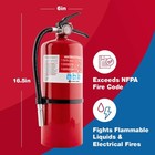 First Alert Pro10 Rechargeable Commercial Fire Extinguisher  Red  1-pack