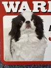 Japanese Chin Dog Funny Sign    warning Overly Affectionate On Duty    Laminate 8x5