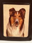 Vintage 1950s Lassie Campbells Soup Vinyl Wallet Nos Never Used Reversed Picture