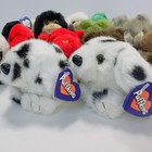 Lot Of 16 Puffkins Plush Dinosaur Bean Bags All W tags 14-1997 2-1998 Swibco