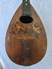 Vintage 1900 s Rosewood Washburn Bowl Back Mandolin