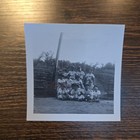 Vintage B w Photograph Of Youth Baseball Team Little League   1960s
