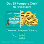 Pampers Baby Dry Diapers Enormous Pack - Size 1 - 204ct