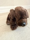 Webkinz Chocolate Lab Hm138 Retired New Condition With Sealed Code