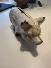 Antique 1900 Cast Iron Piggy Bank     Norco Foundry Coin Bank     Early Americana