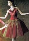 Nwt Cardinal Red Roses Gold Fleck Velvet Ballet Costume Romantic Tutu Ad ch Szs