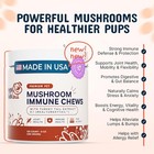 Turkey Tail Mushroom For Dogs - Organic 8 1 Extract Mushroom Supplement With Nam