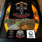 Gun s N  Roses Appetite For Destruction Platinum Music Award Vinyl Lp Record Cd