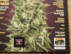 High Times Presents Smoke Signals 2017 Rsd Green Vinyl Record Lp New Sealed  311