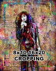 Cher 16x20in Poster  Cher Print Pop  Art Free Shipping Us