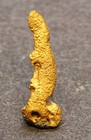 Gold Nugget  0 54 Gram  Dun Glen M d   Pershing Co  Nv